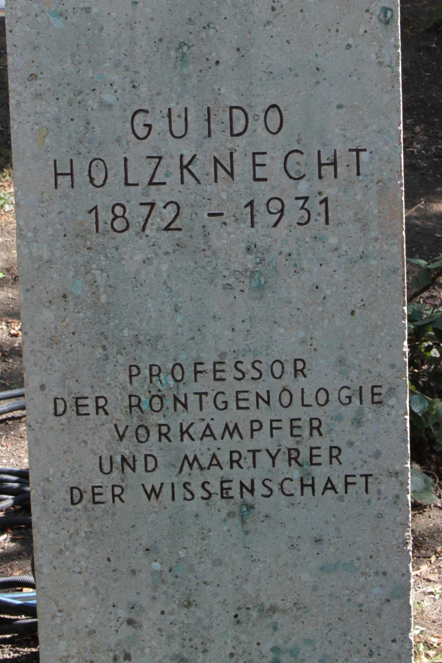 Guido Holzknecht's monument, Vienna - 05.JPG